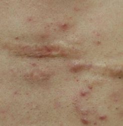 o1986127715299867575