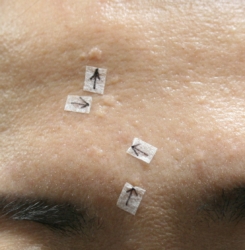 o1590112115620661276
