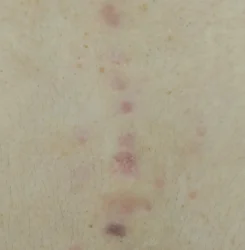 o1096143515799555482